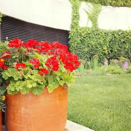 מלון Crowne Plaza By Ihg 4*