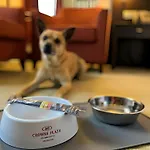 Crowne Plaza By Ihg 4* Bratislava