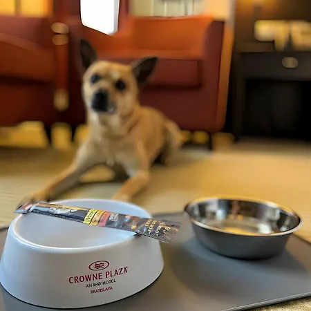 Crowne Plaza By Ihg 4* Bratislava