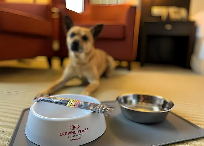 Crowne Plaza By Ihg 4* Bratislava